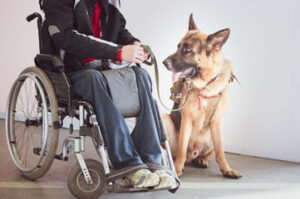 Service Dogs